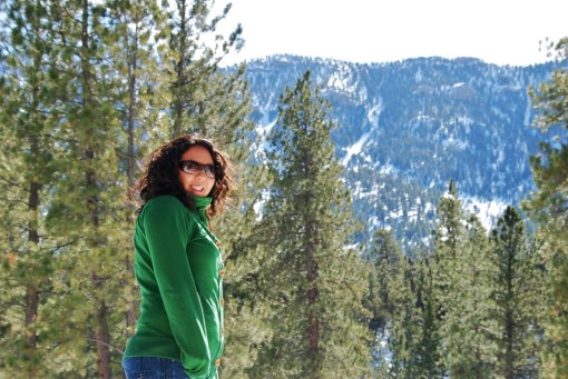 MT. Charleston, NV 046