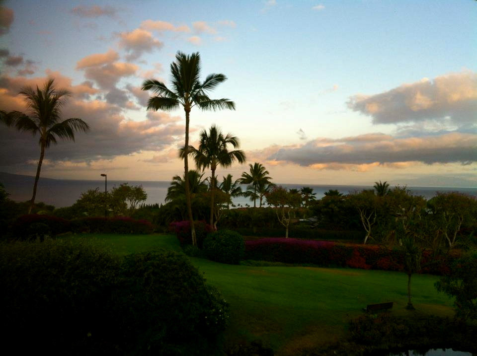 525782_860285779403_333333247_n