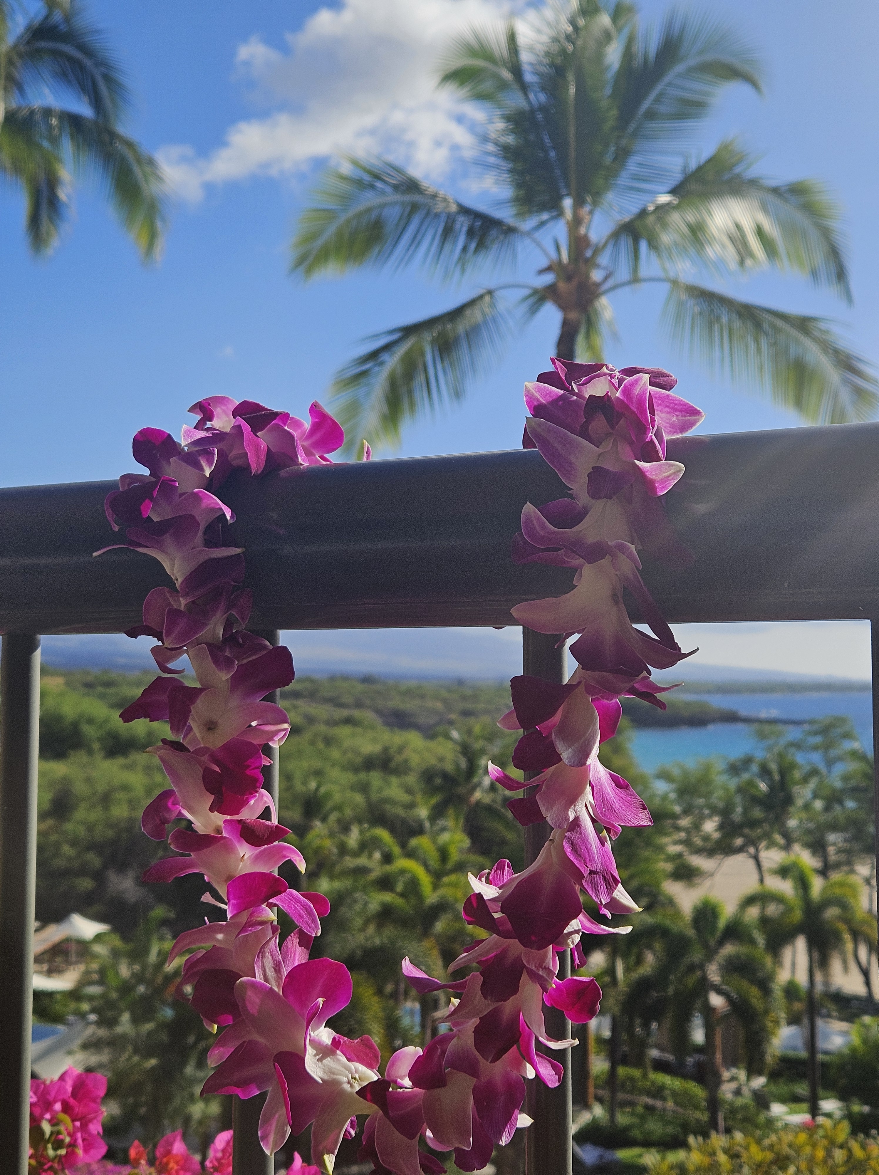 Travel. Nature | Adventures On the Road